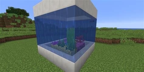 Minecraft Player's Build Turns Viewers Into A Fish Inside A Fish Tank