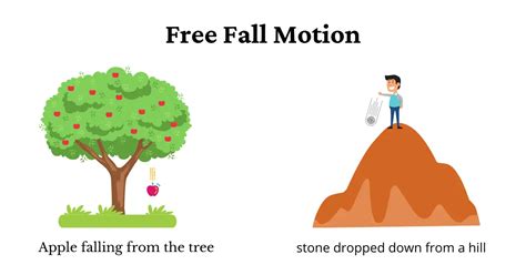 What is Free Fall in Physics? - PhysicsGoEasy