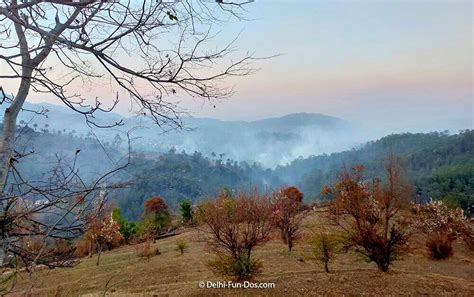 Temples of Almora in Uttarakhand | Delhi-Fun-Dos.com