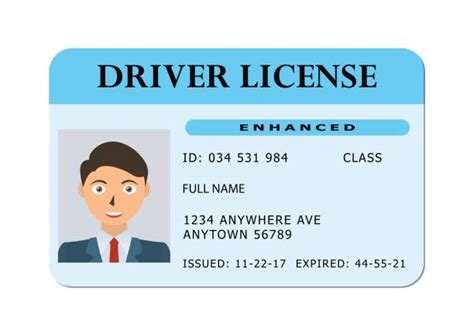 Drivers License Photo Illustrations, Royalty-Free Vector Graphics ...