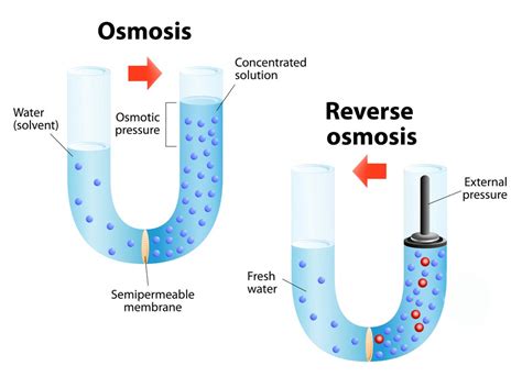 How Do Reverse Osmosis Systems Work? | Water-Right