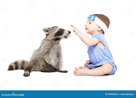 Cute Baby Girl Playing with Raccoon Stock Photo - Image of closeup, funny: 89063620