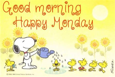 Pin by Evelyn Switzer on Good Morning | Snoopy birthday quotes, Good ...