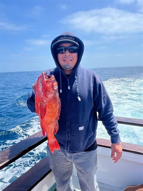 Eldorado Sportfishing Fish Report