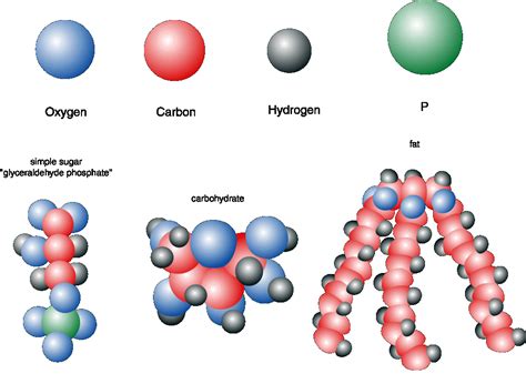 [DIAGRAM] Strawberry Molecule Diagram - MYDIAGRAM.ONLINE