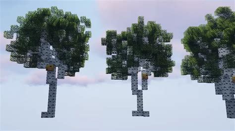 Birch Tree Set | DOWNLOAD SCHEMATIC here! Minecraft Map