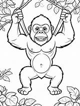 20  Free Printable Gorilla Coloring Pages For Kids sketch template