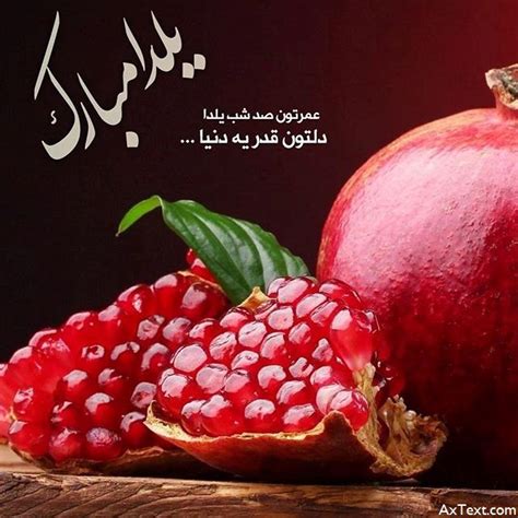 عکس نوشته عمرتون صد شب یلدا دلتون قد یه دنیا برای پروفایل