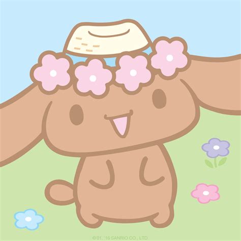 Cinnamoroll's Friend Mocha in a Straw Hat | Hello kitty iphone ...