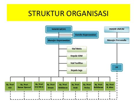 Contoh Bagan Struktur Organisasi Rumah Sakit | Images and Photos finder