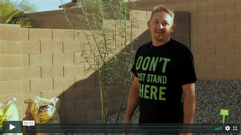 Video: How To Plant a 15-Gallon Size Tree in Arizona | Elgin Nursery ...