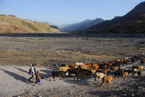 Porous and Violent, Afghan-Tajik Border Is a Worry for U.S. - The New York Times