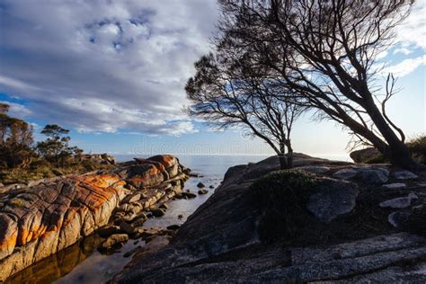 Binalong Bay Beach in Tasmania Australia Stock Photo - Image of ...