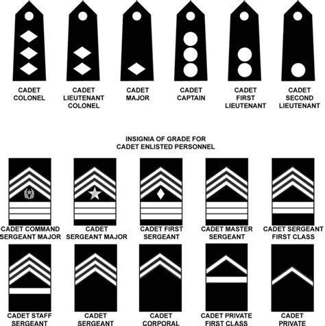 US Army Cadet Ranks: Everything You Need to Know - News Military