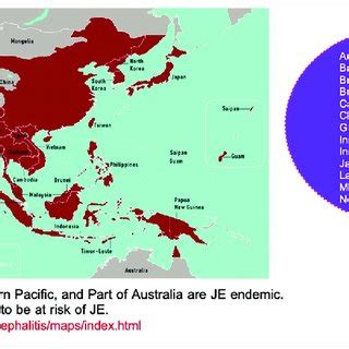 Japanese encephalitis vaccines available in India | Download Scientific ...