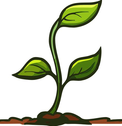 Sprout png graphic clipart design 23258295 PNG