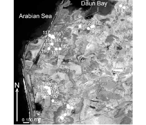 Distribution map of the shell middens discovered around the Bay of Daun ...