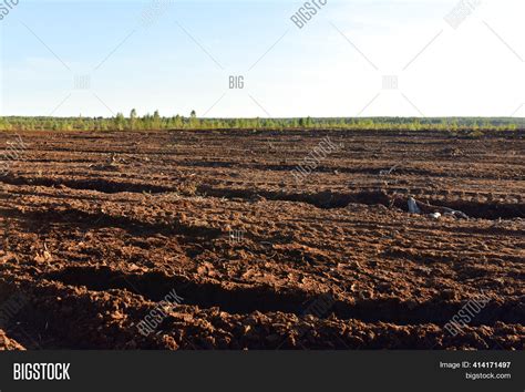 Landscape On Peatlands Image & Photo (Free Trial) | Bigstock