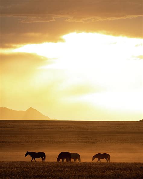 Vast landscape Photograph by Mary Hone | Fine Art America