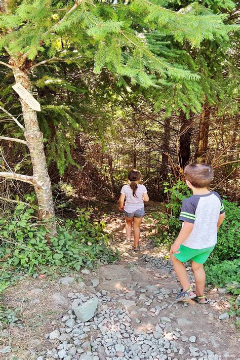 Hiking Hole In The Wall: A Port Alberni Gem - World Adventurists