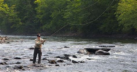 Upstate New York - Orleans County Fishing Report | On The Water