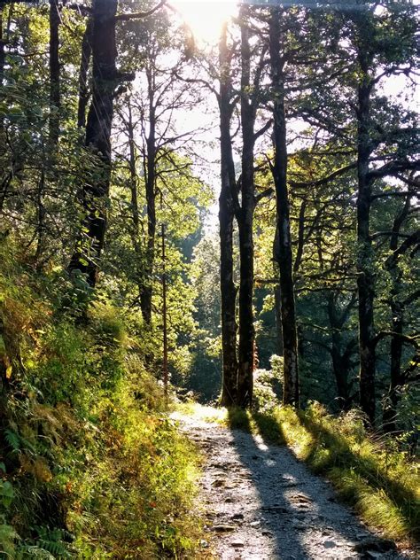 Trail To Naini Peak, India [3456x4608] [OC] : r/EarthPorn