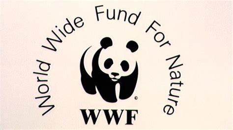 WWF accused of funding guards who torture and kill in poaching war - BBC News