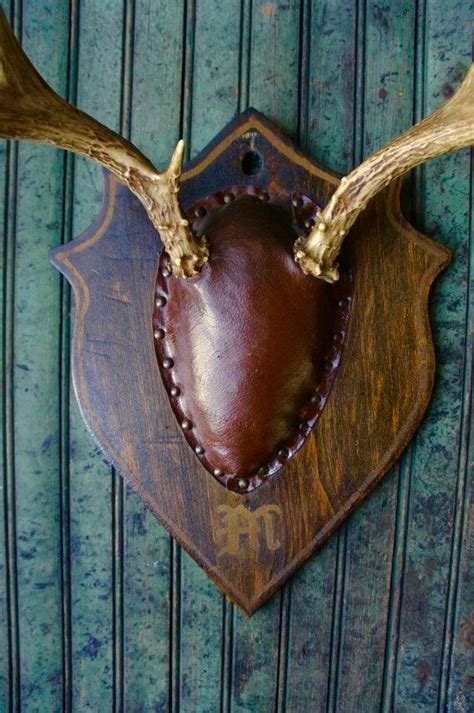 Pin by B.J. Pastor on Antler Mount | Deer antler decor, Antlers decor, Antler mount