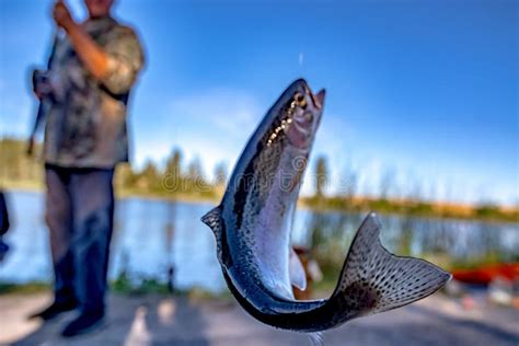 Fishing for Trout in a Small Lake in Washington State Stock Photo ...