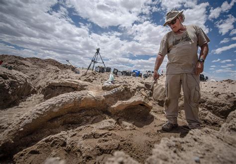 10 Million-Year-Old Mastodon Skull Found in New Mexico by Bachelor ...