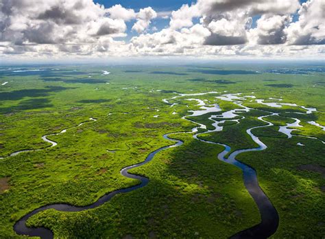 Things To Do In The Everglades, Florida