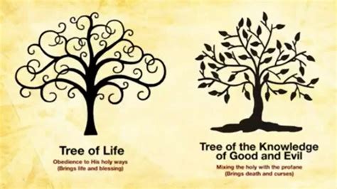 the tree of life - Edward MacLeod