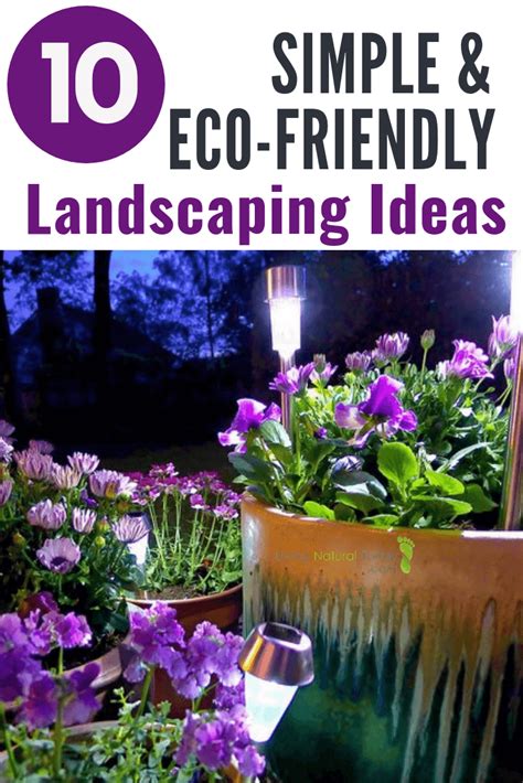 Top 10 Eco-Friendly Landscaping Ideas