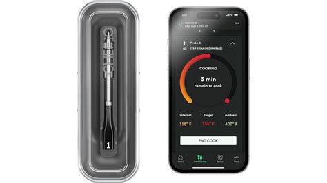 Chef Iq Smart Wireless Meat Thermometer Review - Food Substitutions