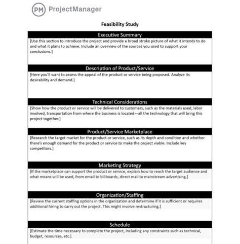 Feasibility Study Template for Word (Free Download)