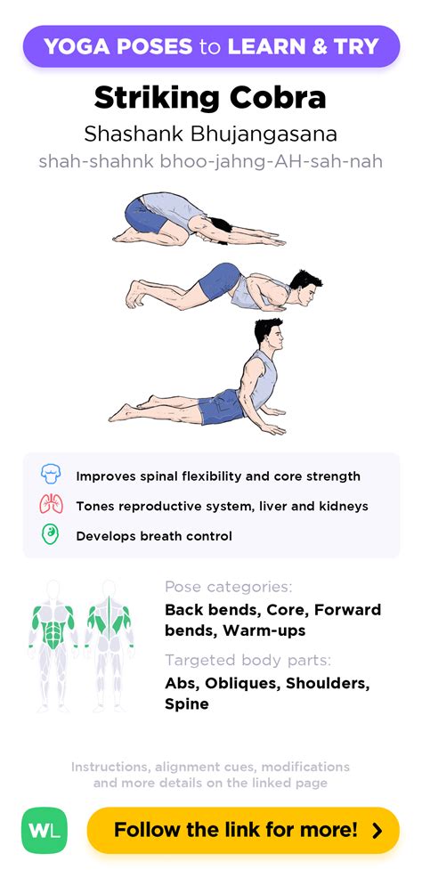 Striking Cobra (Shashank Bhujangasana) – Yoga Poses Guide by WorkoutLabs