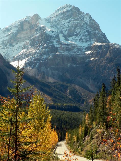 Bicycling in Yoho National Park