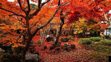 Tumblr Autumn Desktop Wallpapers - Top Free Tumblr Autumn Desktop Backgrounds - WallpaperAccess