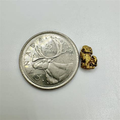 Gold Nugget 1.04g SOLD - Mammoth Gold Nuggets