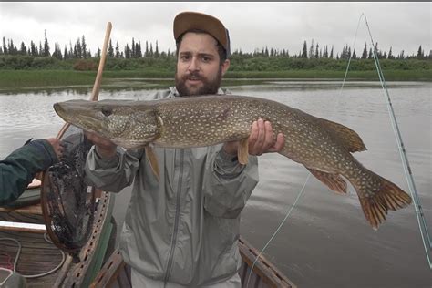 Monday Nostalgie with Attawapiskat River Flow.. — Flymag.Net