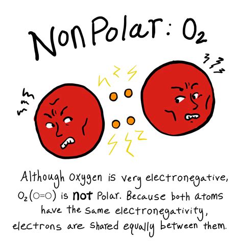 Polar vs. Nonpolar Bonds — Overview & Examples - Expii