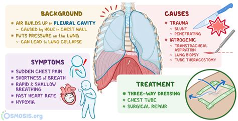 Pneumothorax Causes Signs Symptoms Treatment | SexiezPix Web Porn