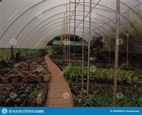 Kuzhipallam Botanical Garden, Thiruvananthapuram, Kerala Stock Image ...