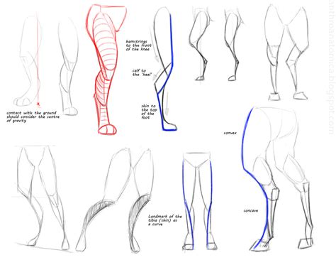 Anthro Anatomica: 2014