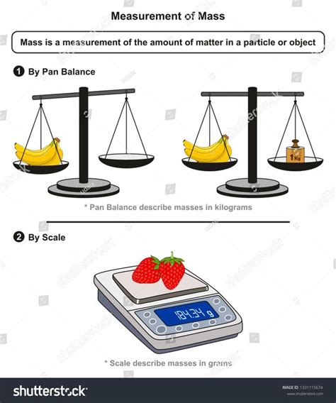 Measurement of Mass infographic diagram including pan balance measures ...