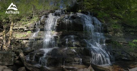 Best hikes and trails in Oconee State Park | AllTrails