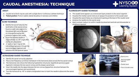 Caudal Anesthesia Technique