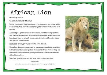 African Animals Information posters by The Willow Tree | TpT