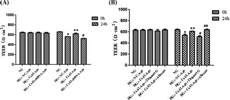 TEER measurements. (A) Baseline TEER measurements were comparable among ...