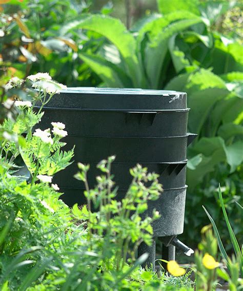 Worm composting: a practical guide on how to do it and why it's good for your garden | Gardeningetc